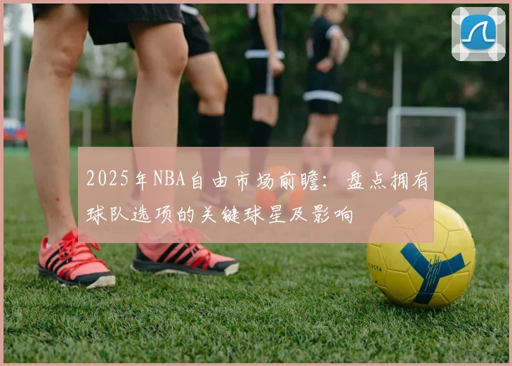2025年NBA自由市场前瞻：盘点拥有球队选项的关键球星及影响
